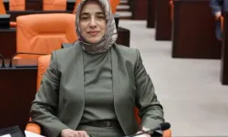 AKP'li Özlem Zengin, halkın peynir-ekmek yediğini kabul etti!