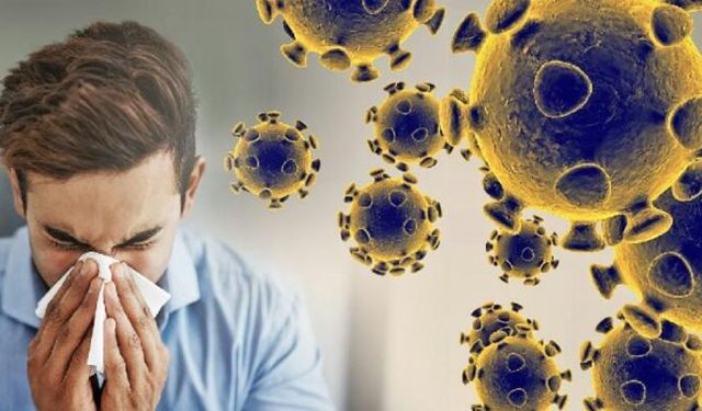 Mutasyonlu grip Türkiye'de, çok hızlı yayılıyor!